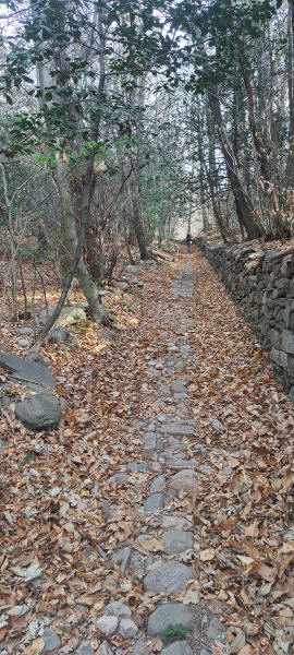 old trail