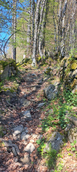 rocky trail