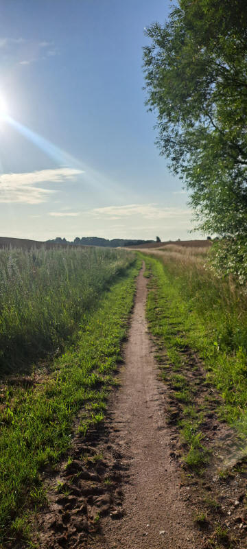 meadow trail