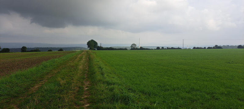 across fields