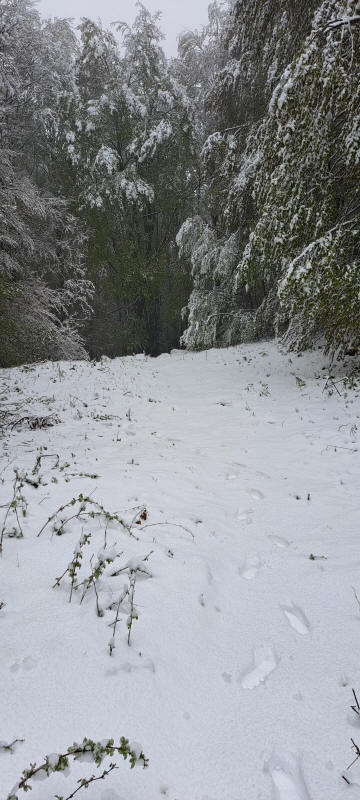 Schnee auf dem Pass