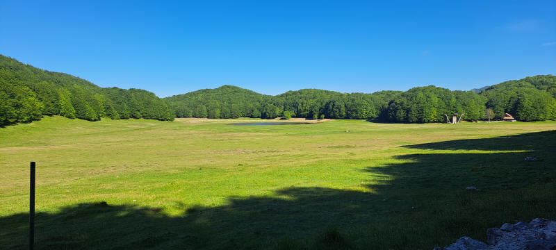 Campo Maggioro