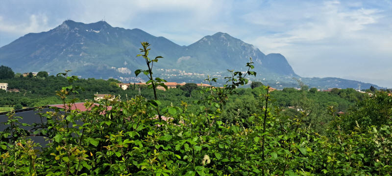 Montevergio