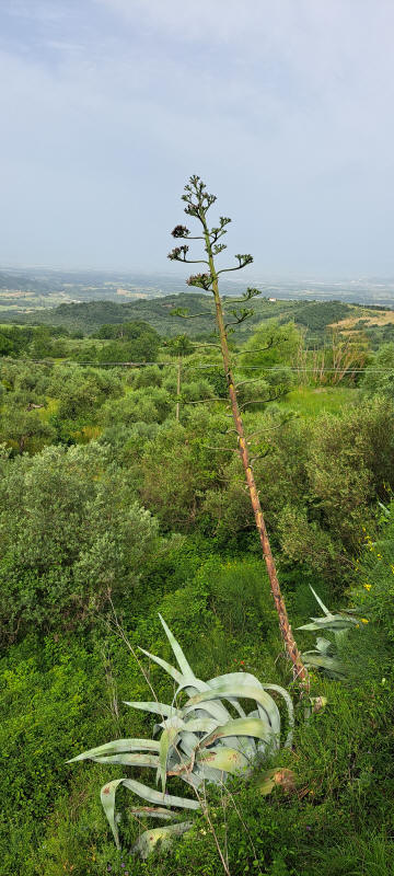 keine Fernsicht