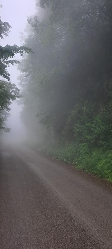 in den Wolken