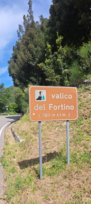 Fortino