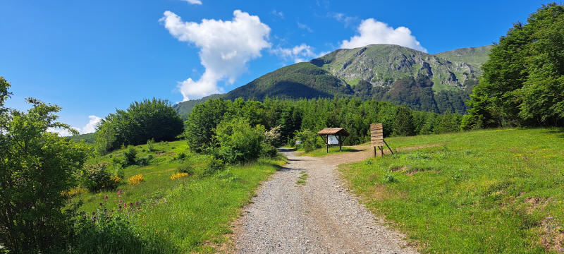 Monte Alpi