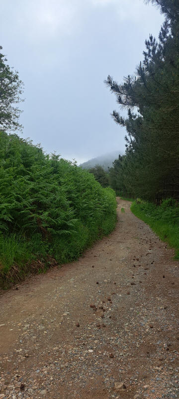 fast in den Wolken