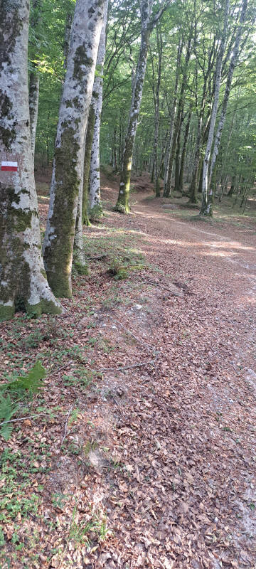 Passo Croce Ferrata