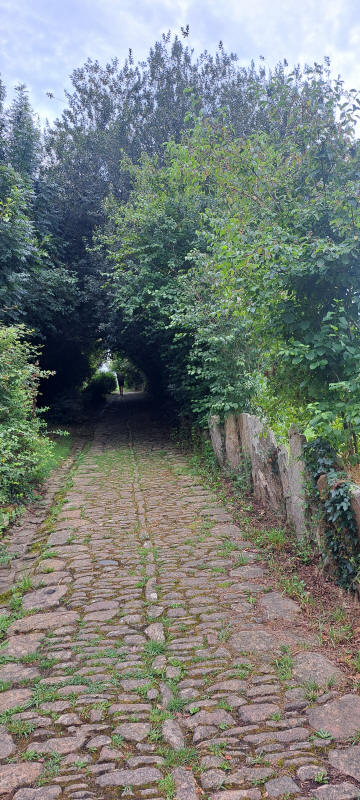 Pflastersteinstraße