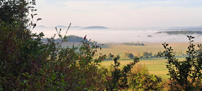 morning fog